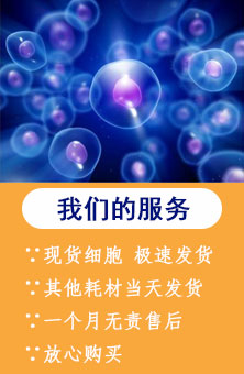 熱門導(dǎo)航